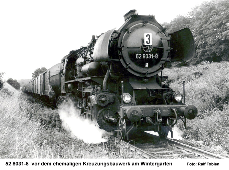 52 8031